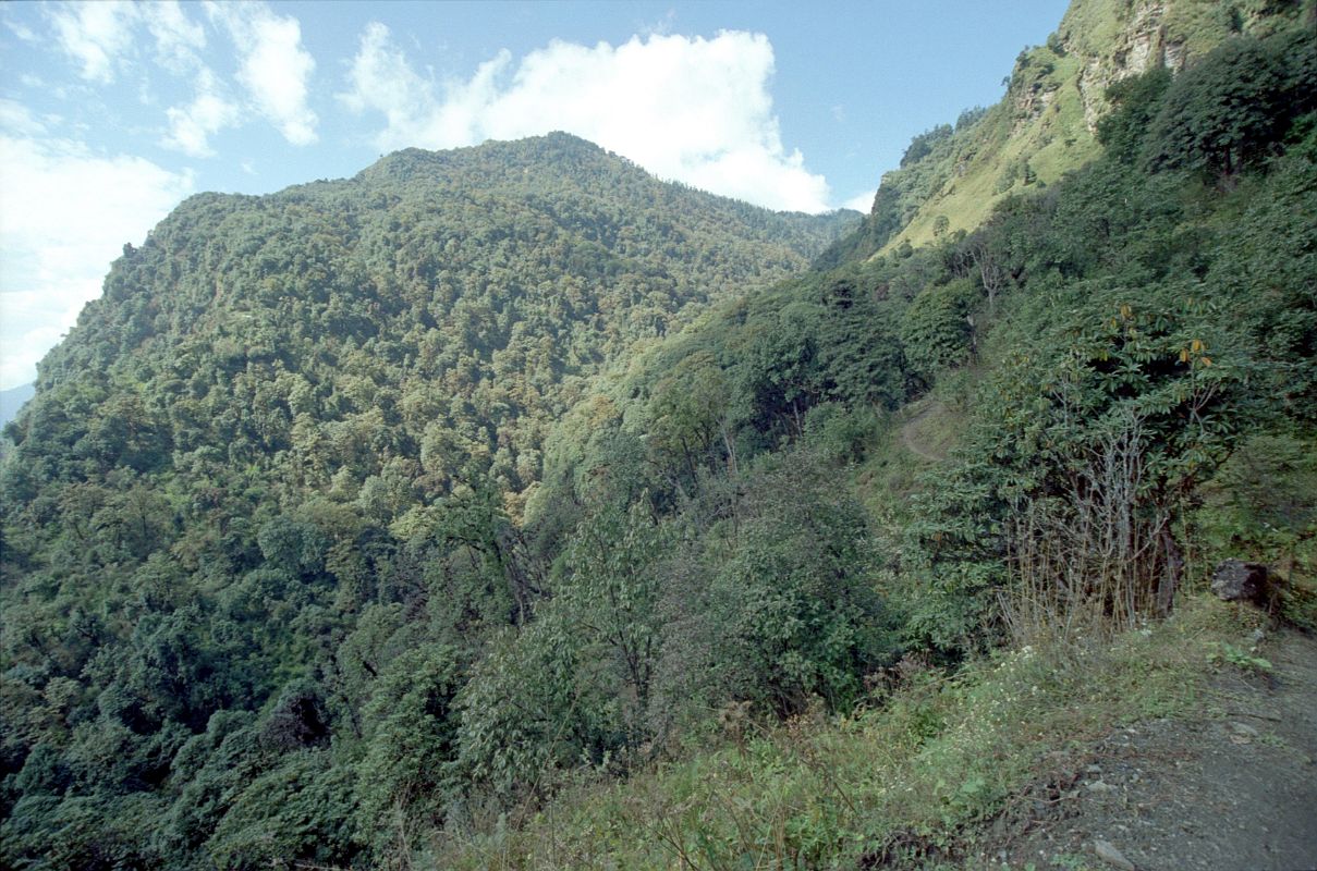 603 Trail From Chitre To Deurali Left Chitre at 6:45. I decided to bypass Ghorpani and go straight for Chomrong. I climbed from Chitre (2420m) on a muddy trail, gentle at first, and much steeper later. I didn't see anybody, and I felt a little claustrophobic with the tall trees all around. It was with great relief that I finally emerged at 9:10 at Deurali (3090m).